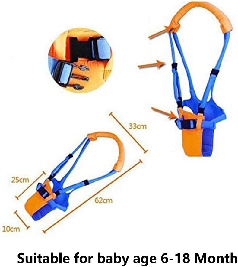• حزام تعلم المشي للأطفال الصغار - الصورة 2
